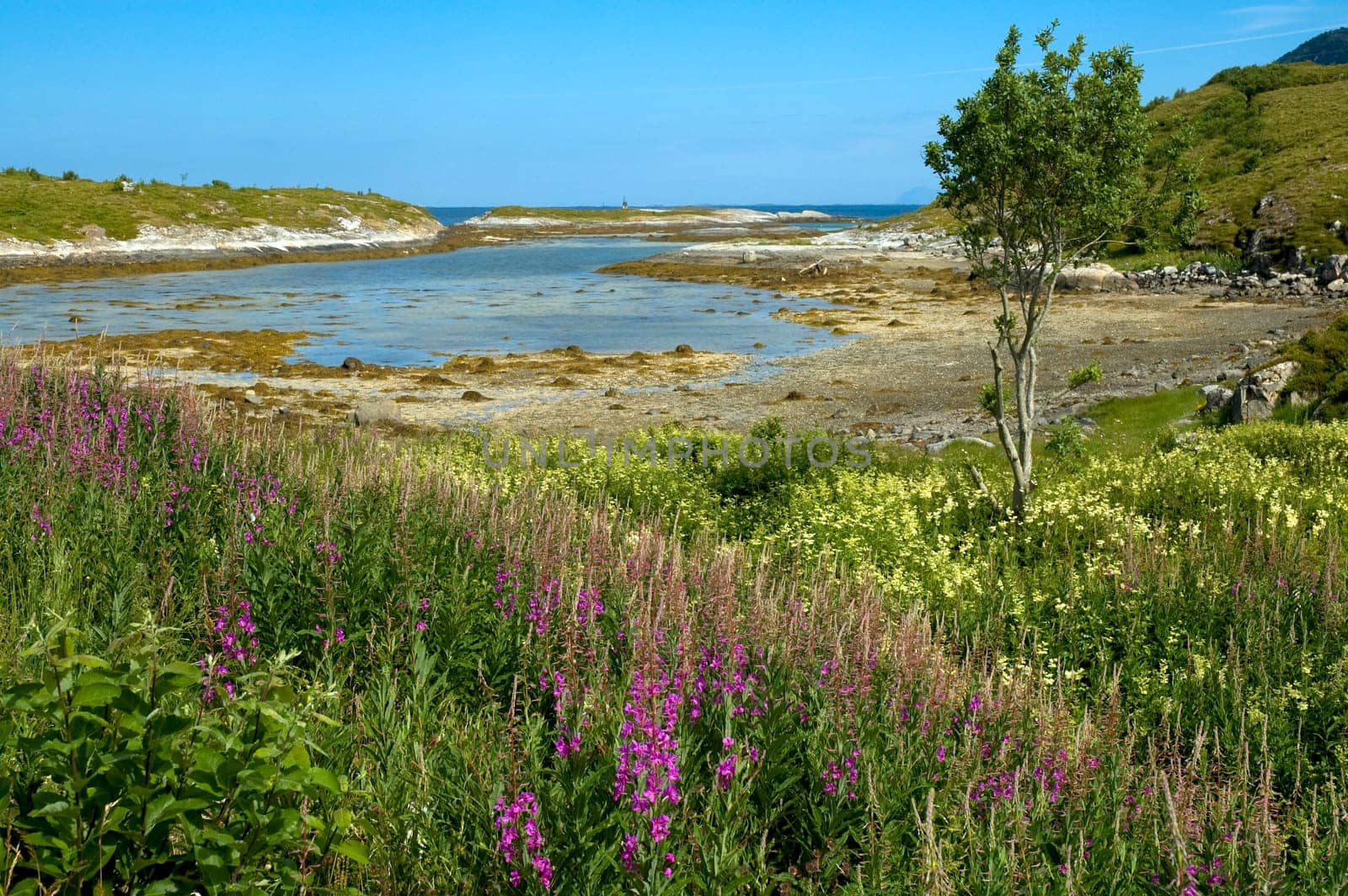 Coastal landscape Norway