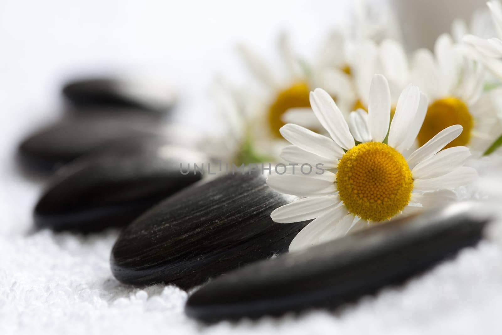 Chamomile and massage stones