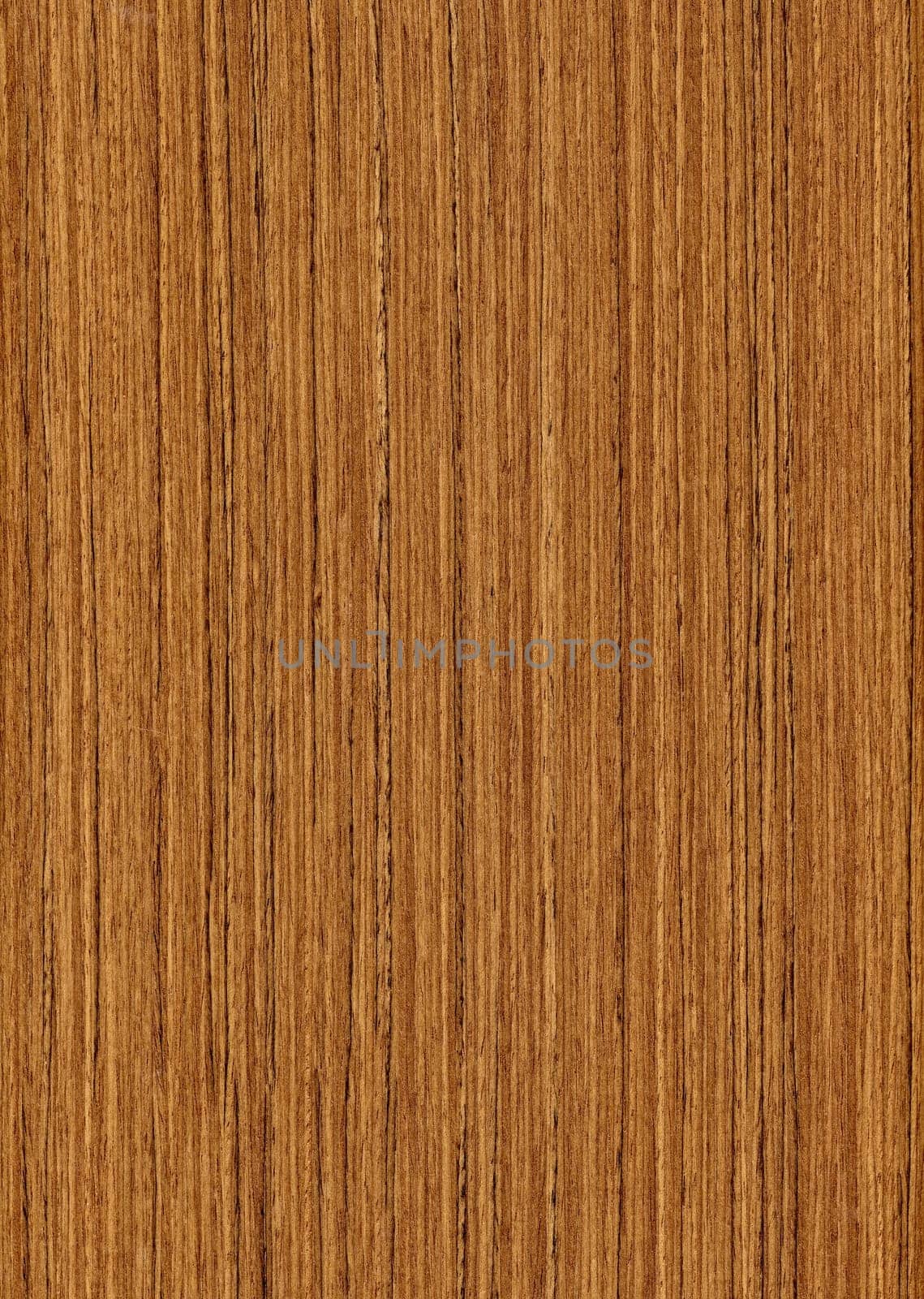 wood texture teak