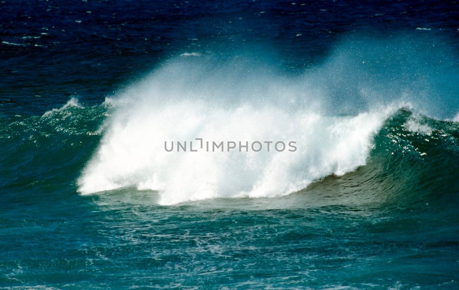 Wave in the ocean