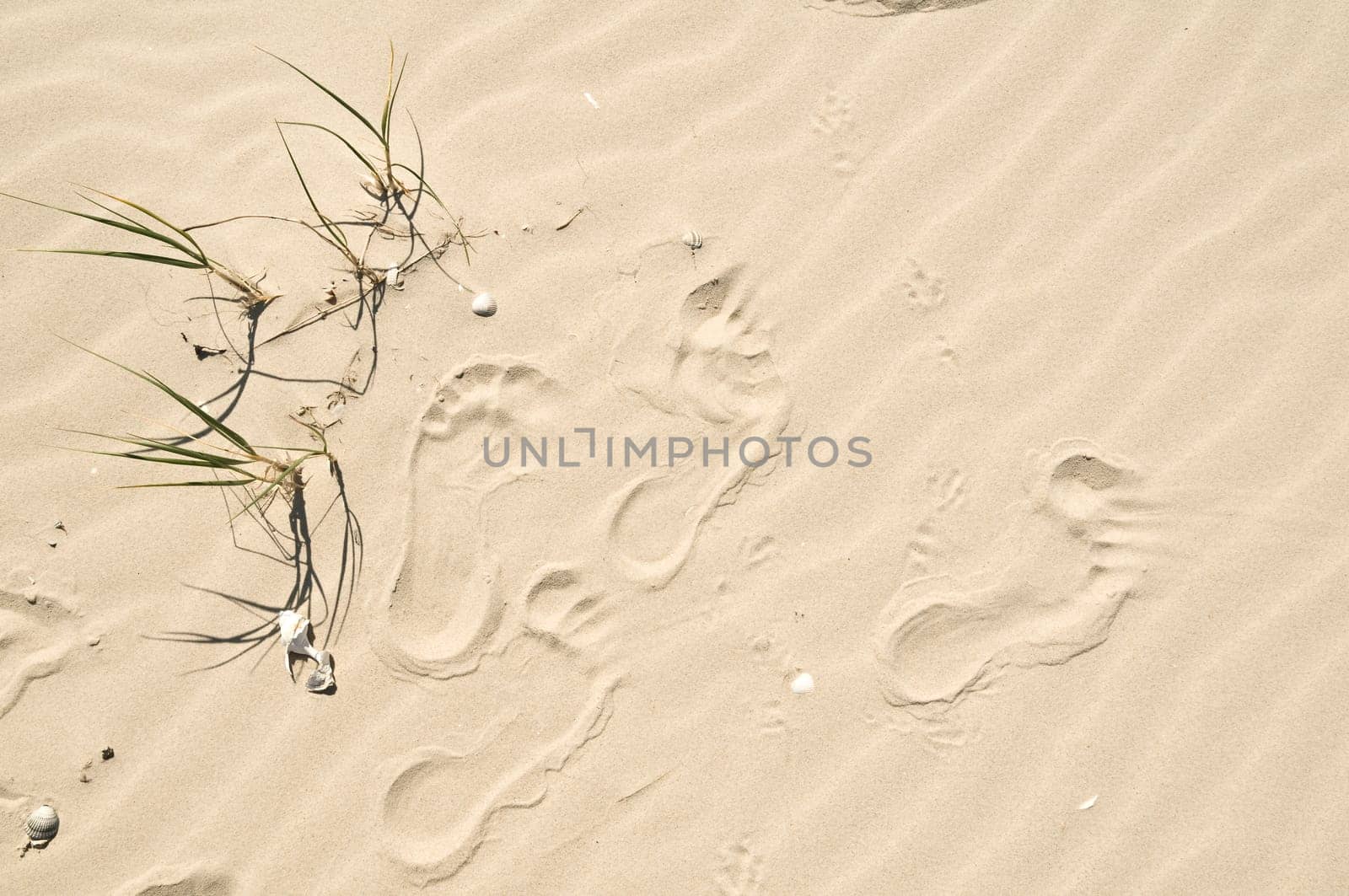 Traces of sand