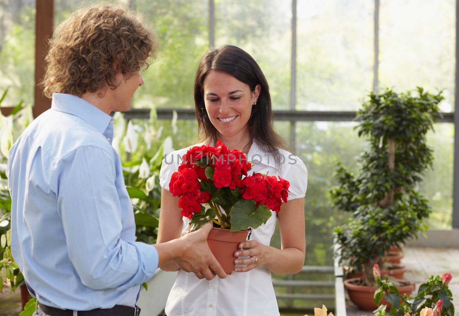 couple shopping in garden center
