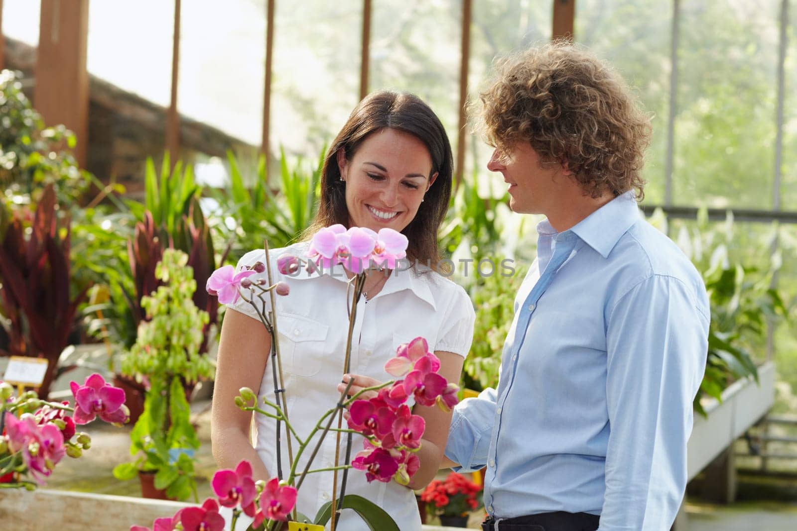 couple shopping in garden center
