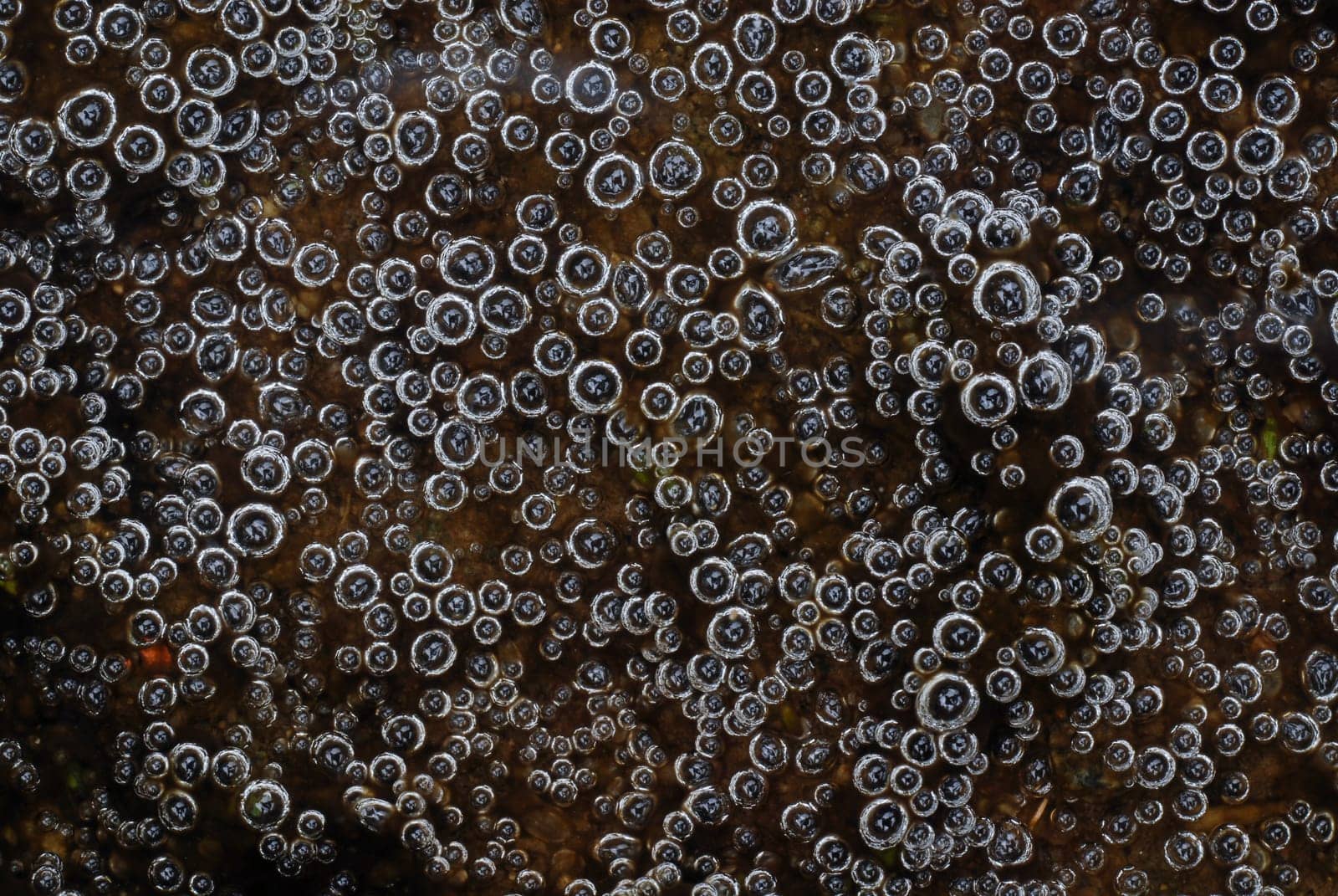 Tiny Bubbles