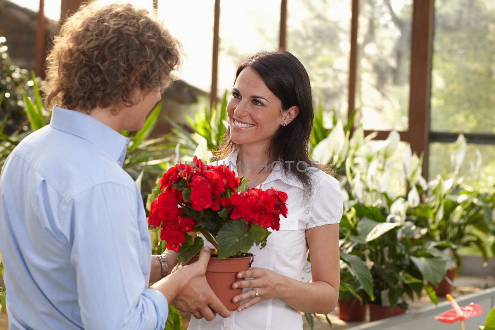 couple shopping in garden center