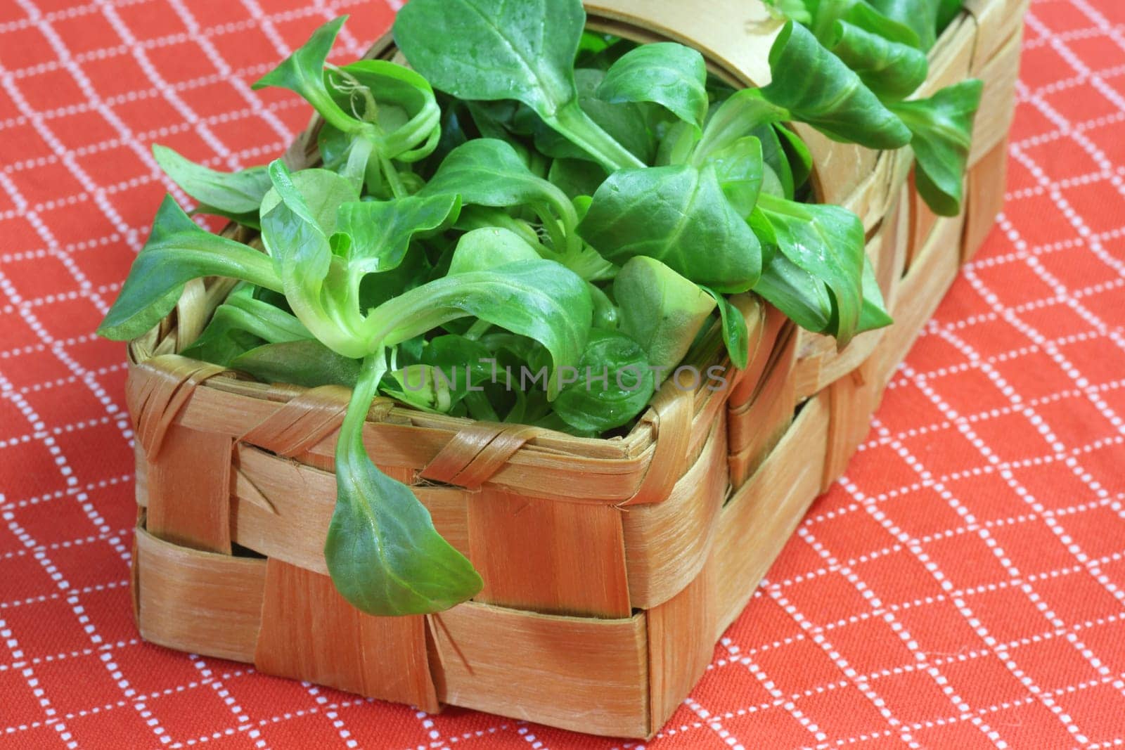 Corn salad