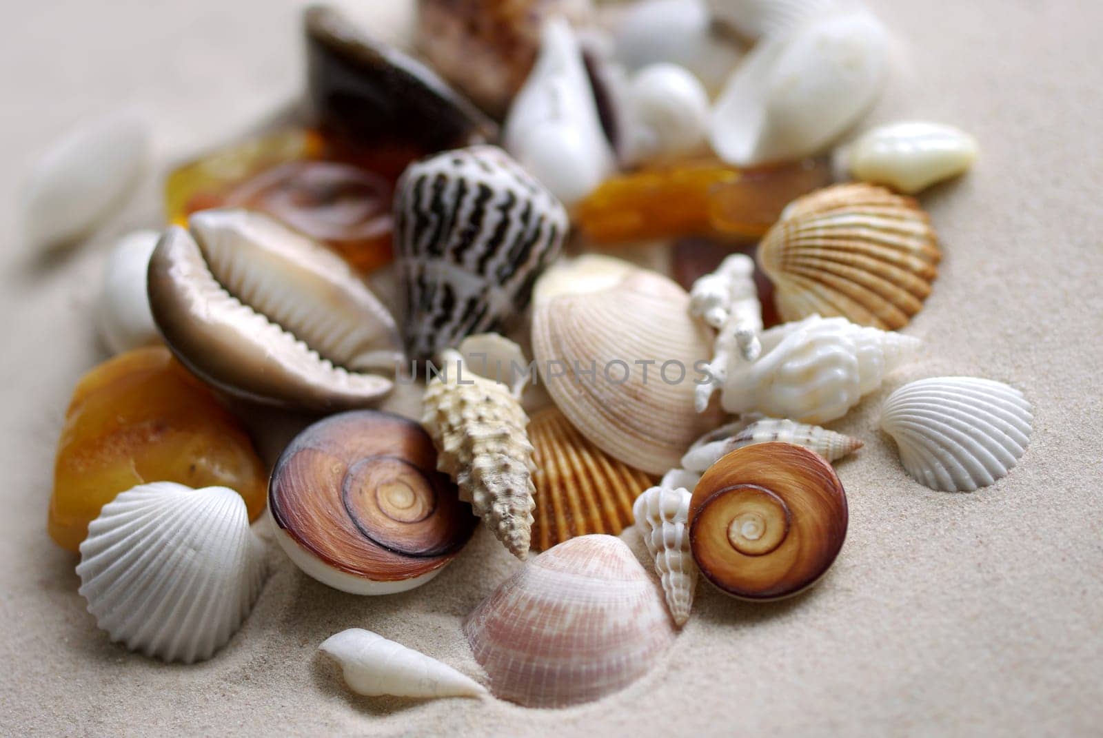 Natural resources