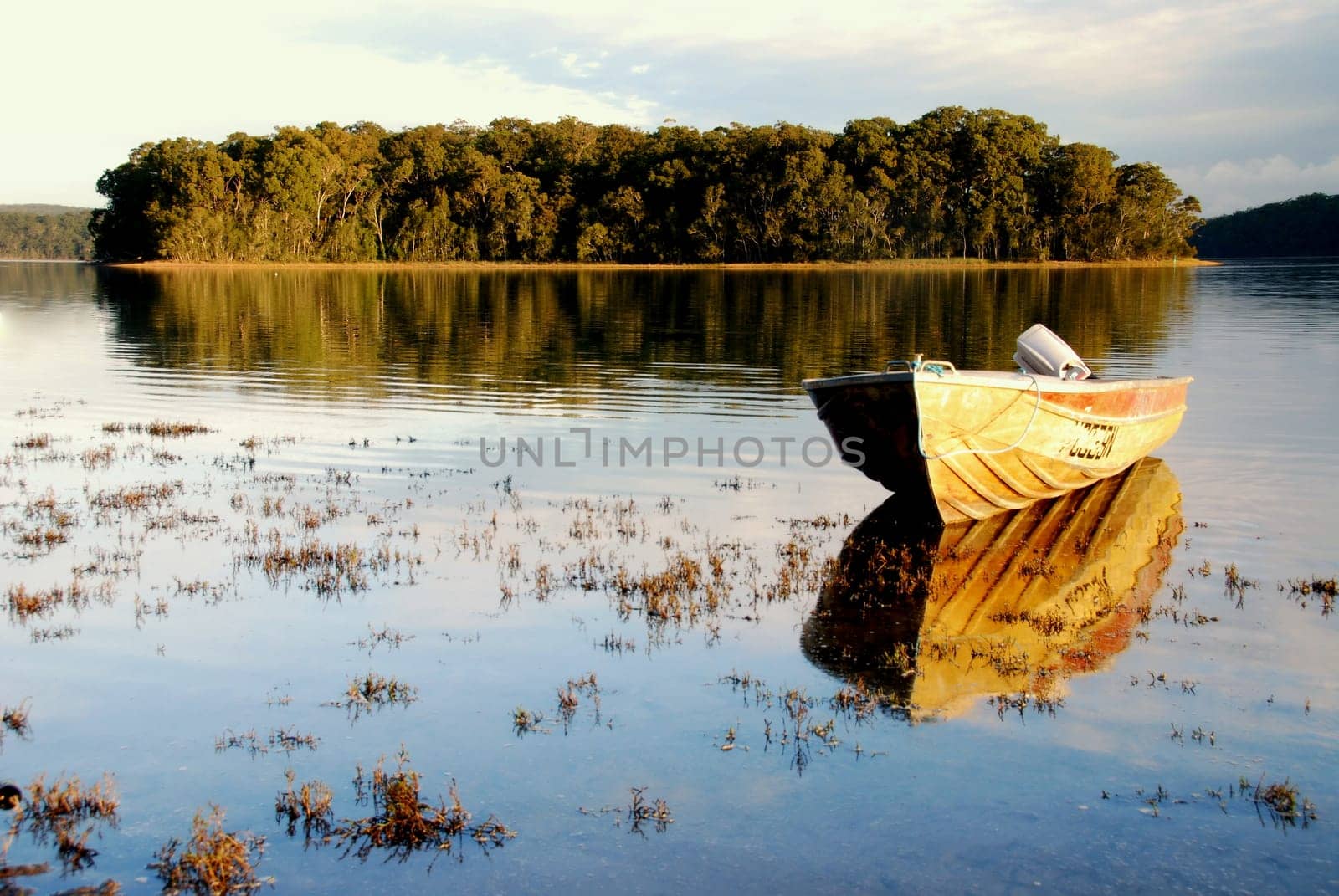 Boat on the Smithlake