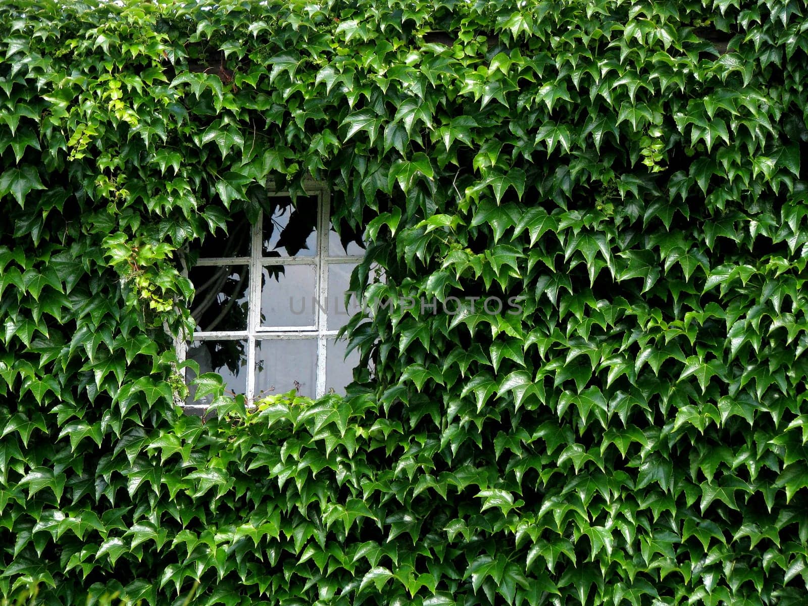 hidden window