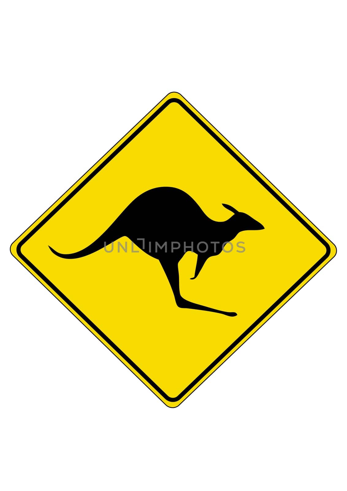 Kangaroo
