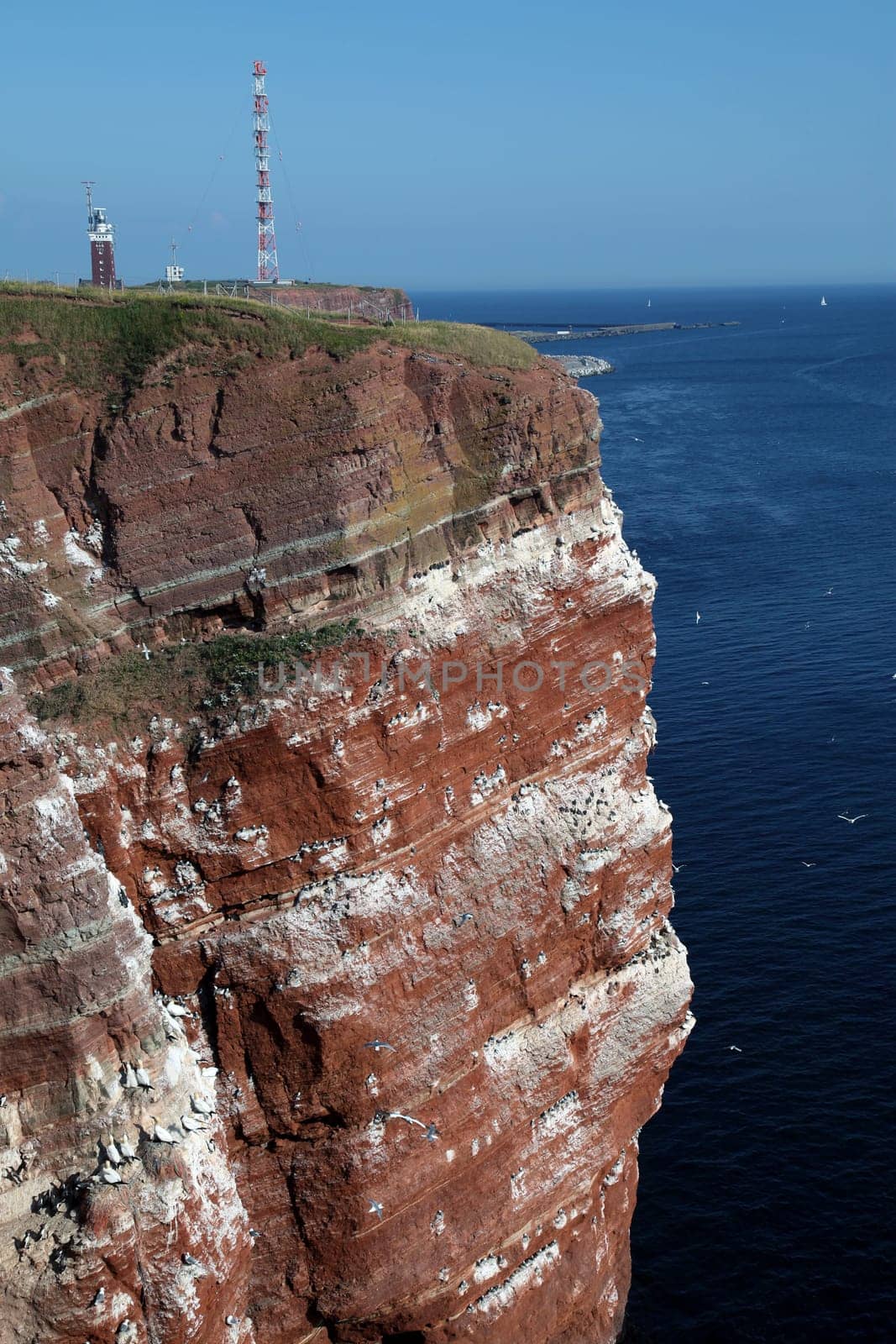 Heligoland Cliffs