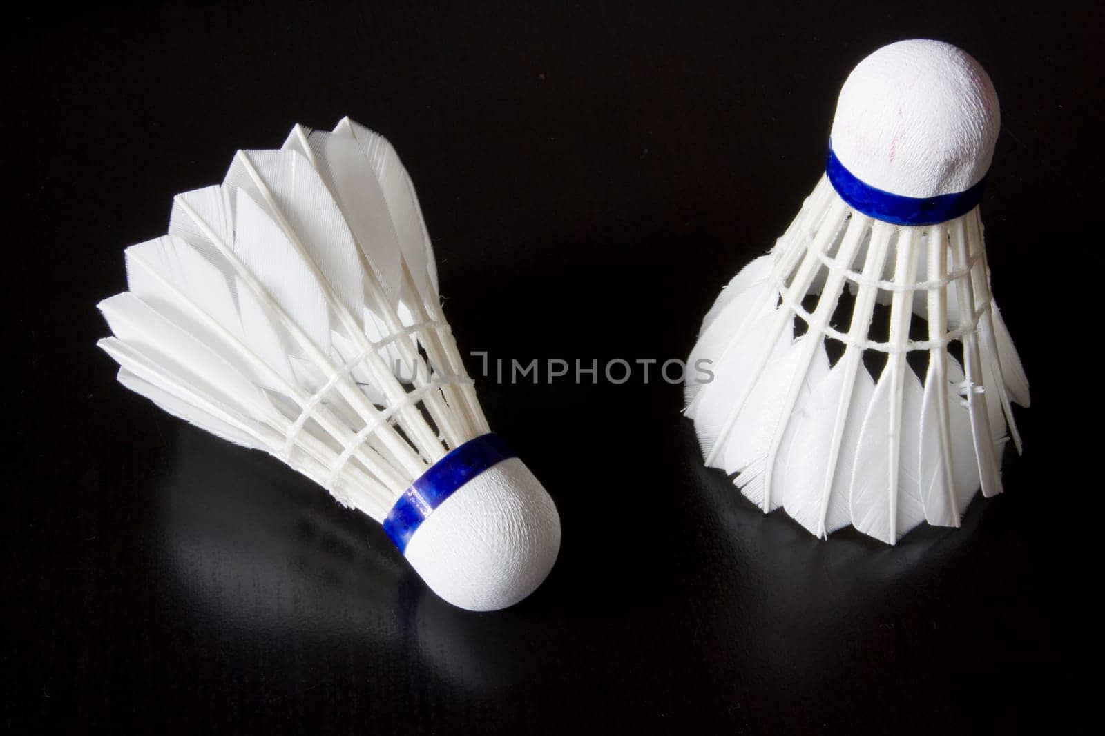 Badminton Bird
