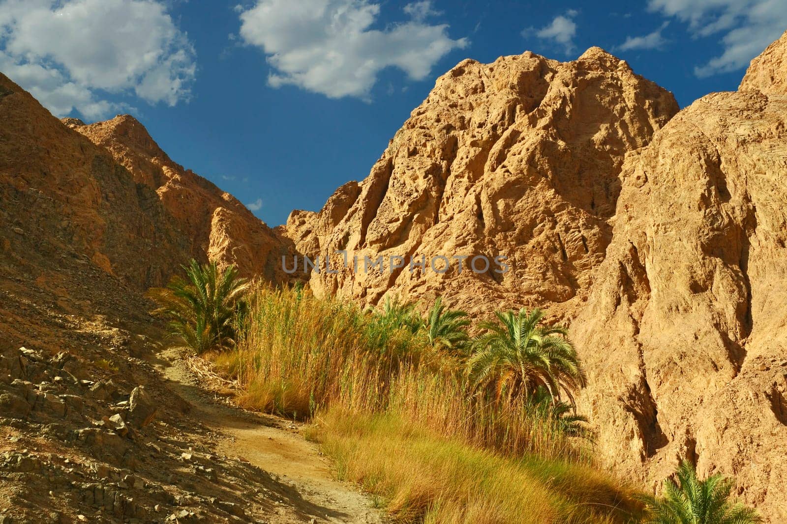 Ain Qnai 3