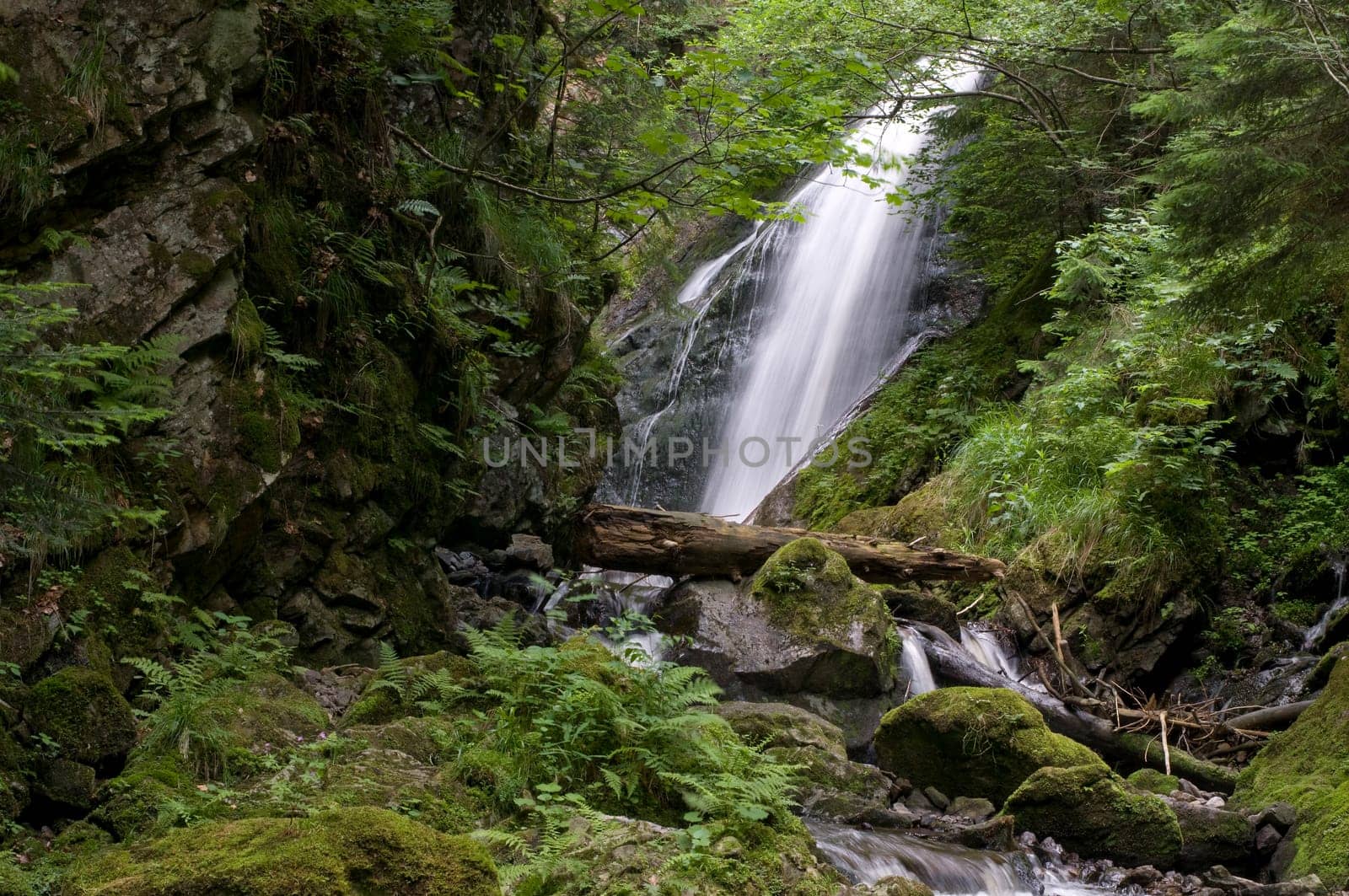 Ravenna Gorge2