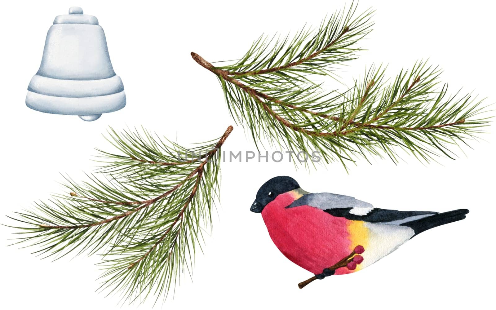 A Christmas collection of elements. Red-breasted robin abundant pine branches and a gleaming silver bell. Isolated watercolor digital illustrations. Set for stickers, packaging, cards, invitations.