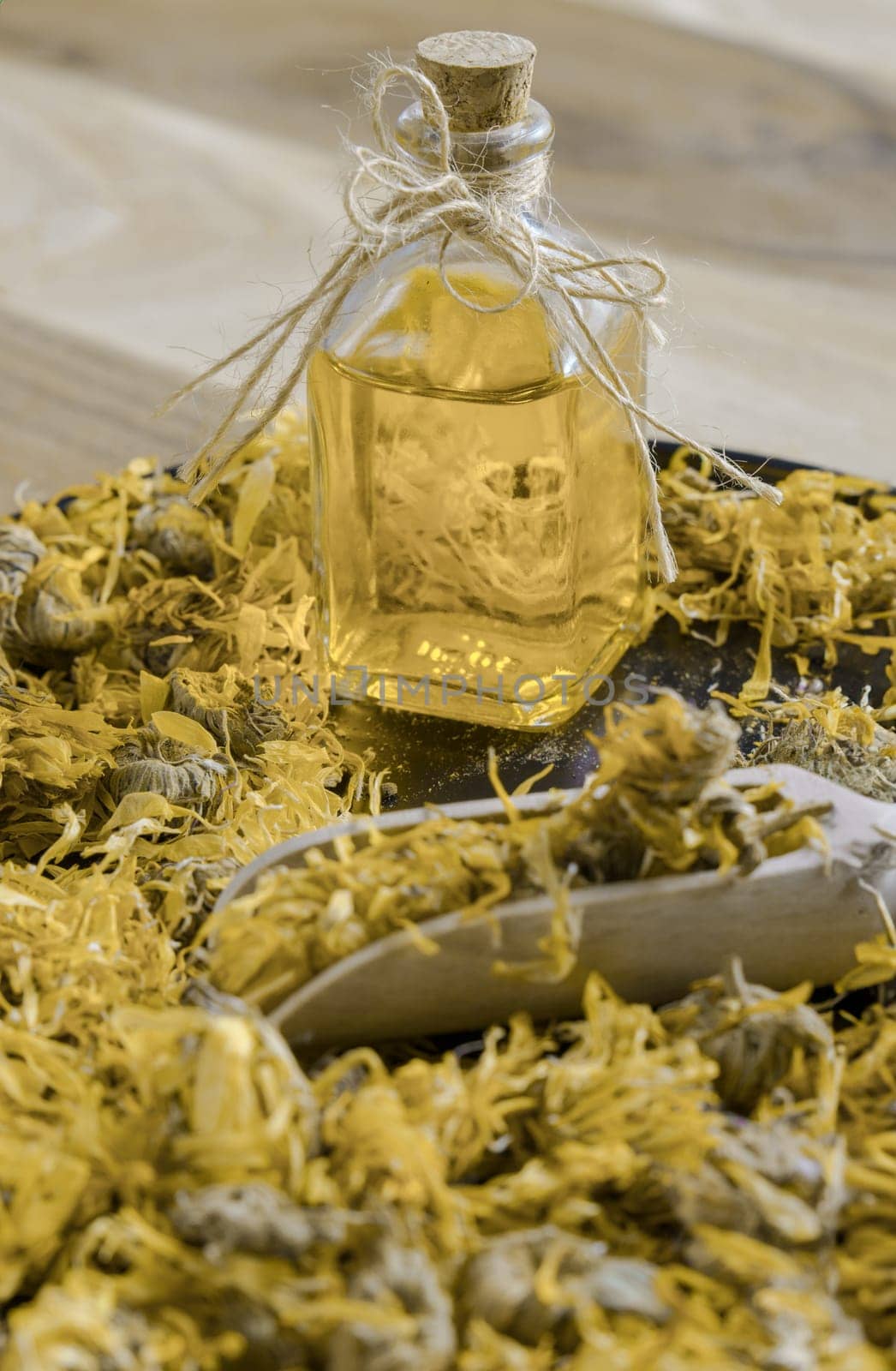 dried calendula flowers, Calendula officinalis, medicinal plant for therapeutic use, in a black tray with a bottle of calendula essential oil.