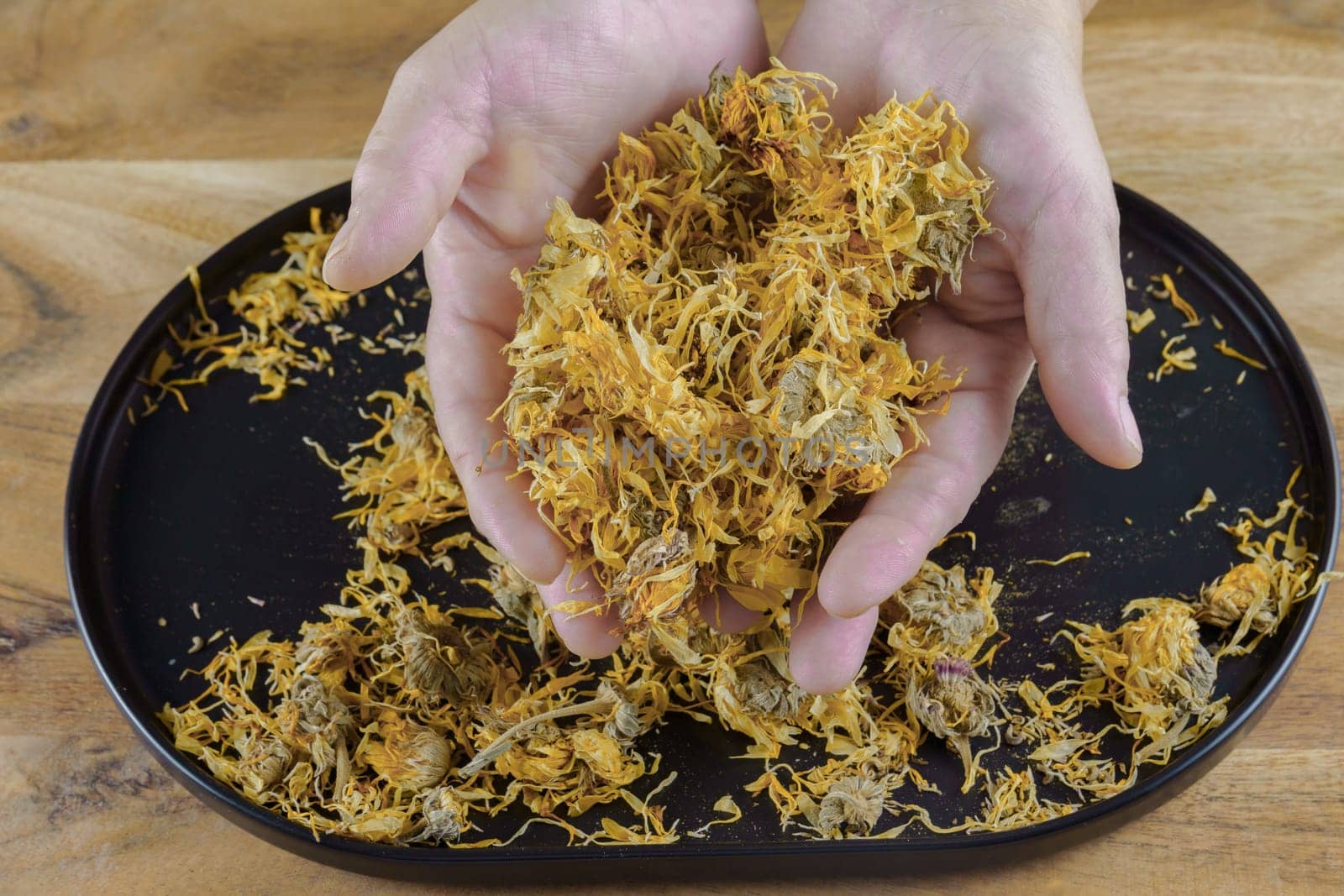 woman holds in her hands dried calendula flowers, Calendula officinalis, picked from a black tray on a wooden table with copy space