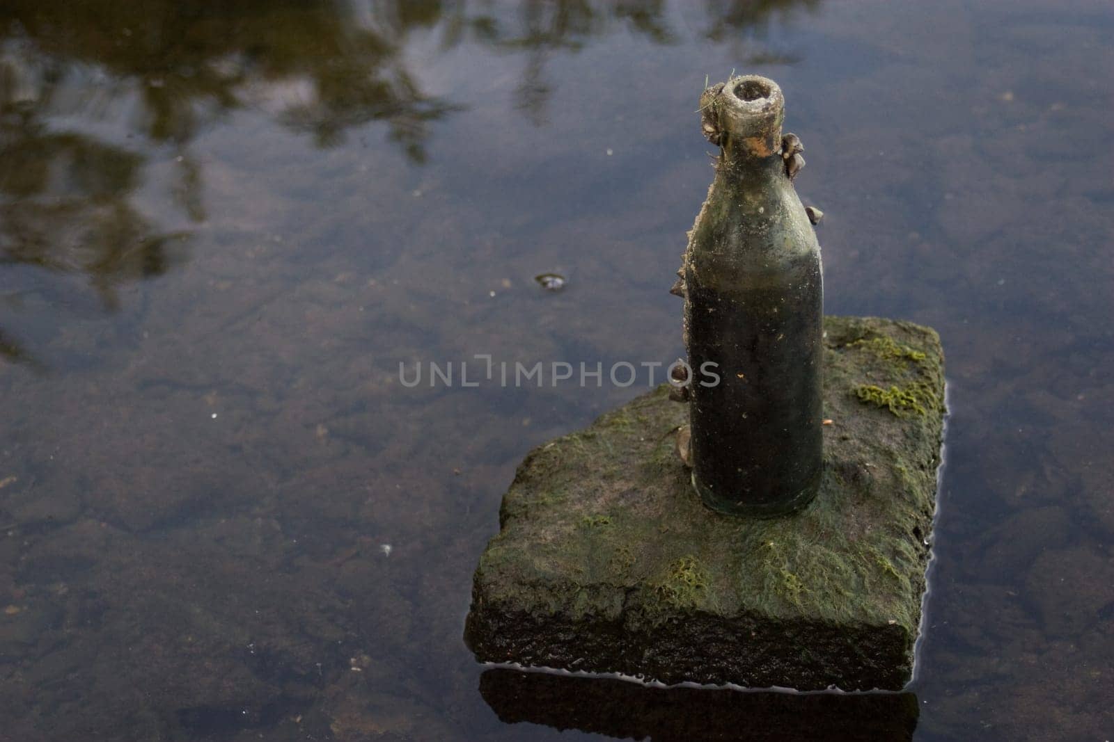 Water bottle