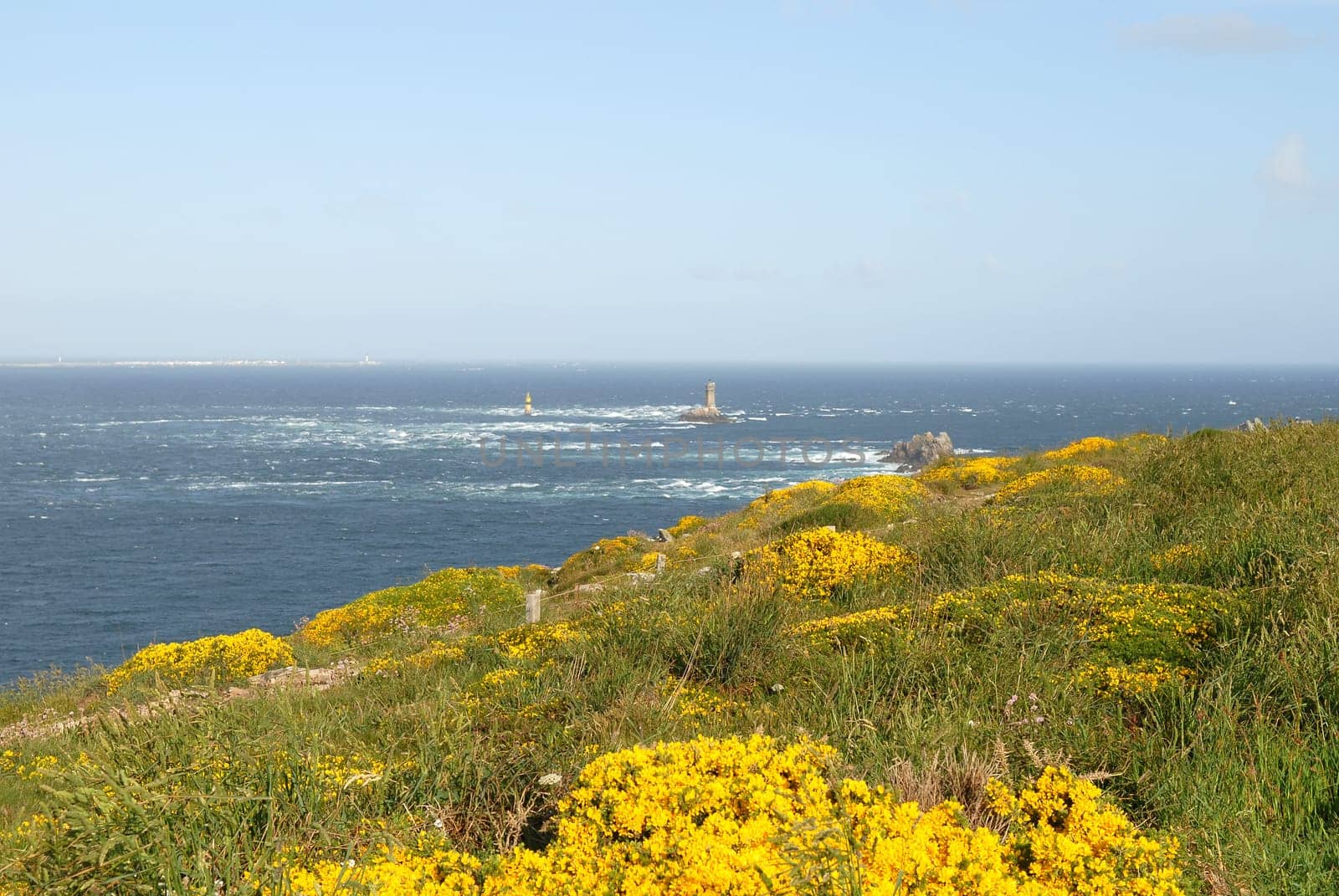 Wild Coast
