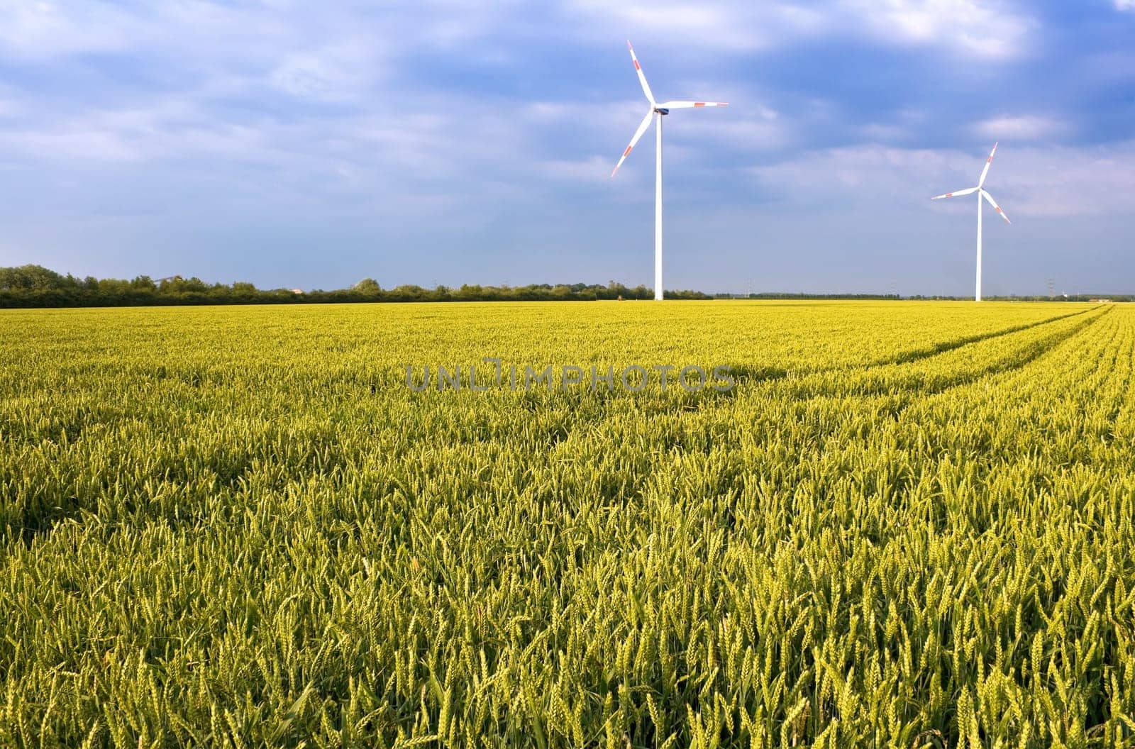 Green Energy
