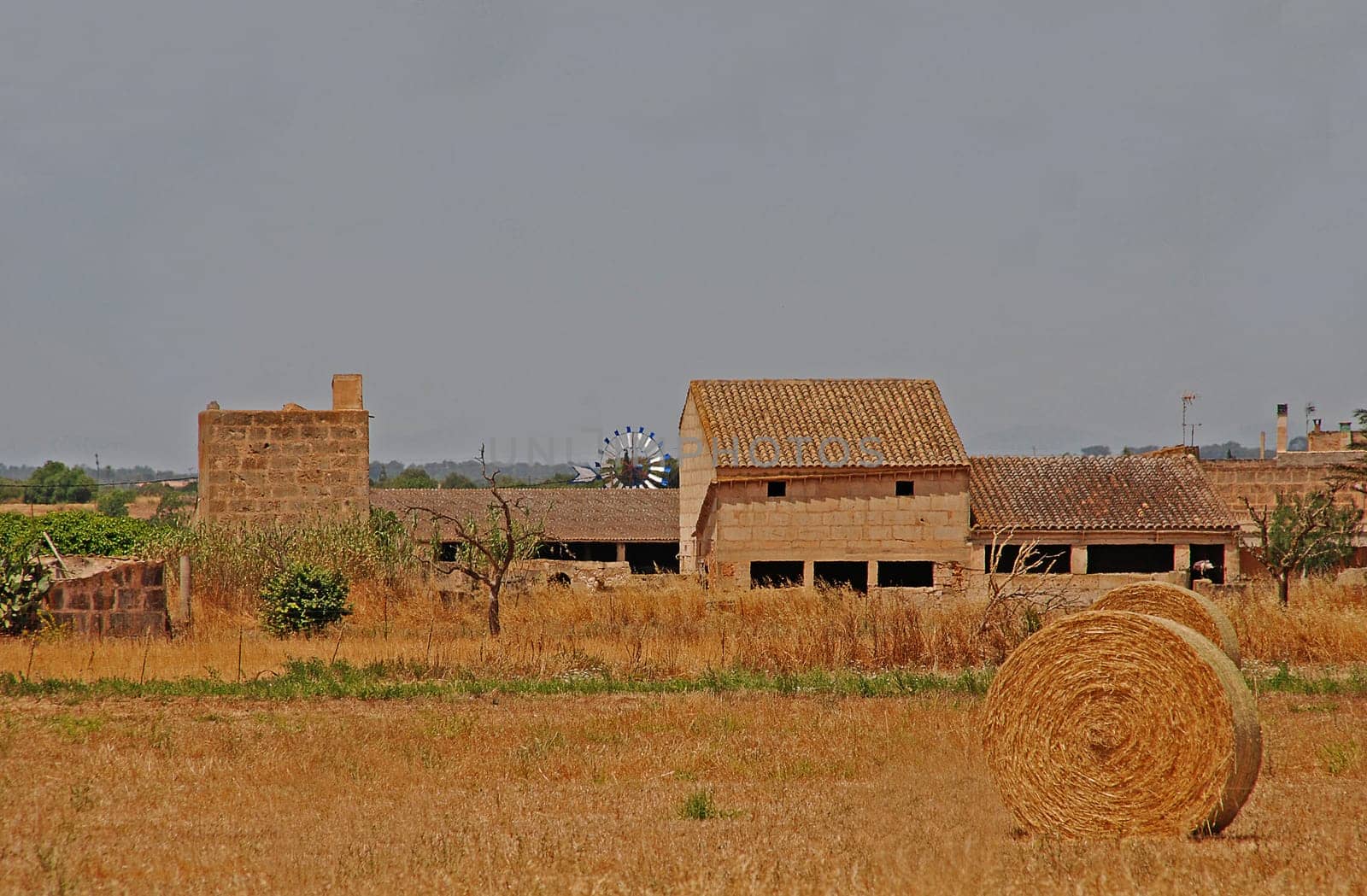 Hay harvest in Mallorca