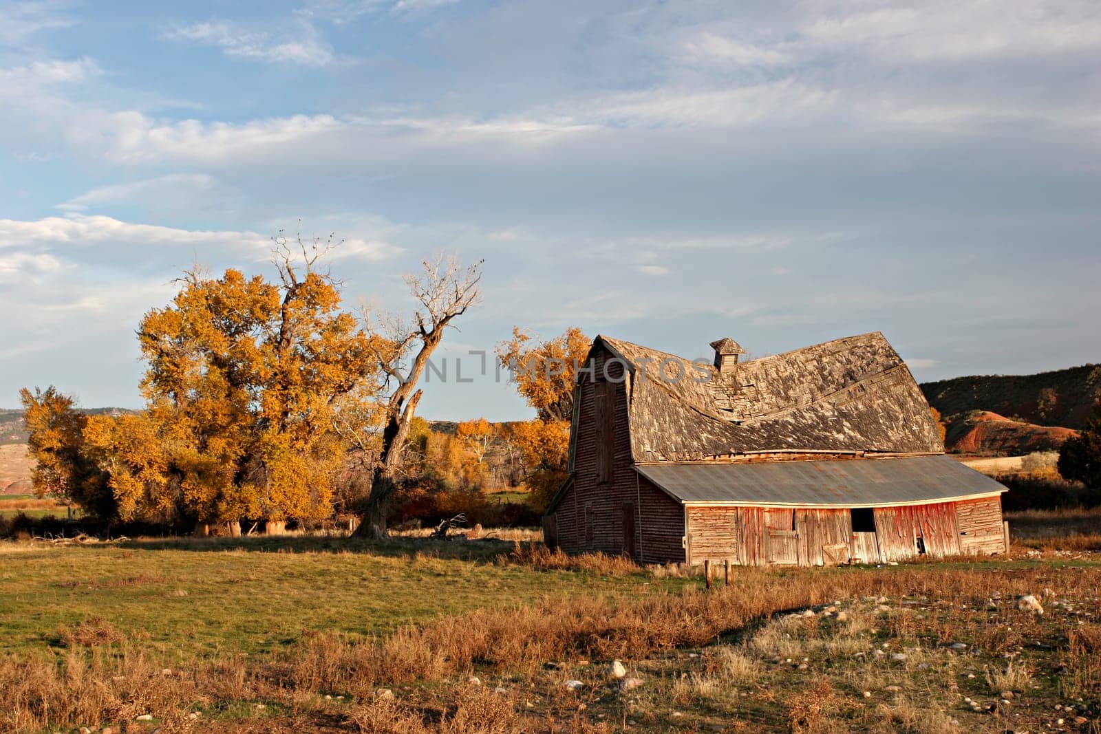 abandoned barn