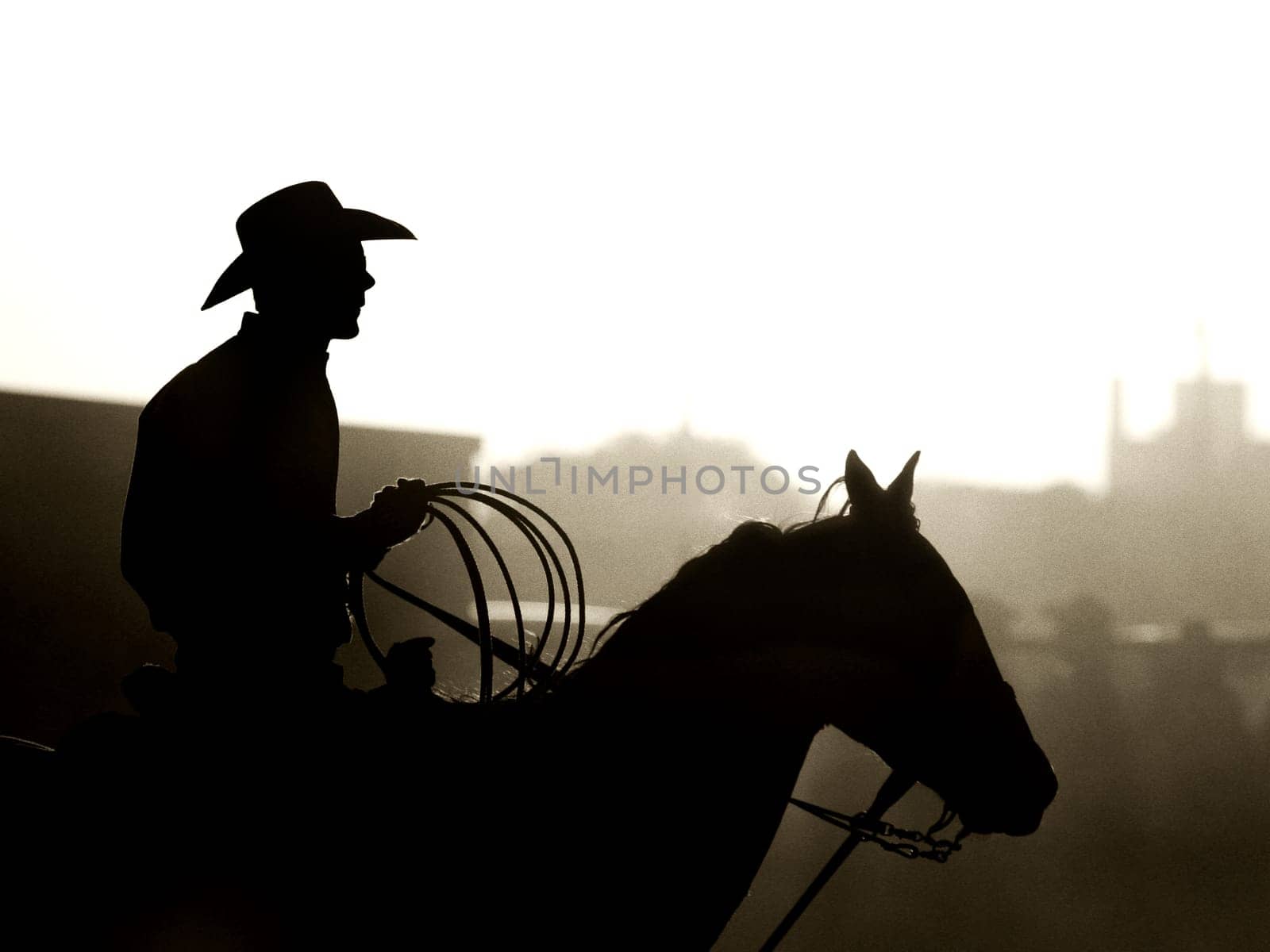 cowboy at rodeo - slight grain