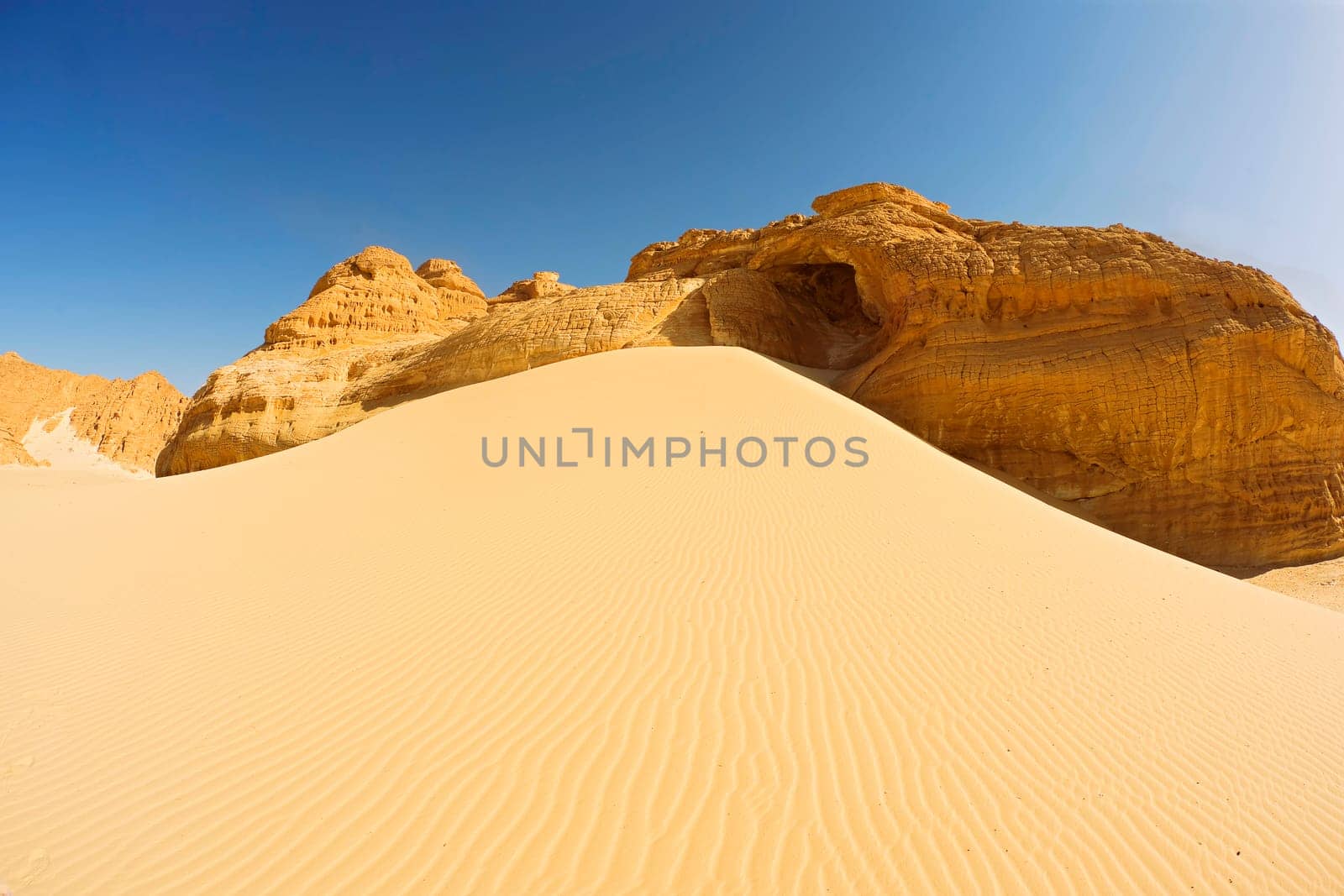 the big dune