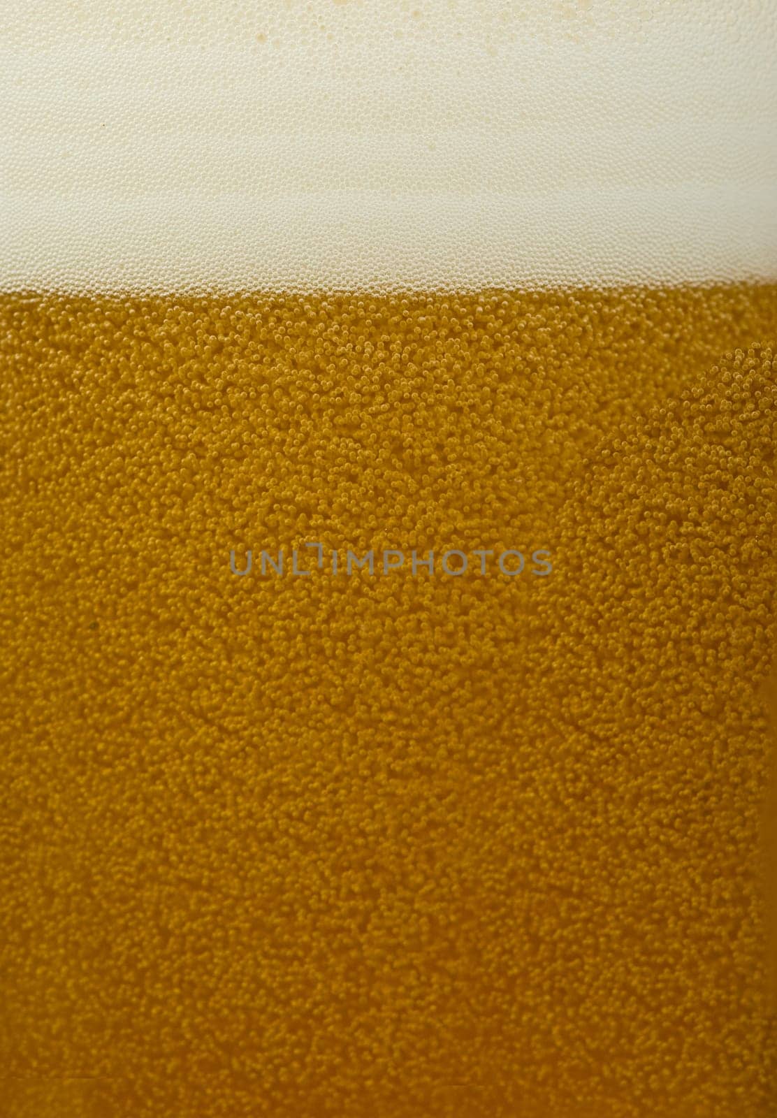 Beer close up