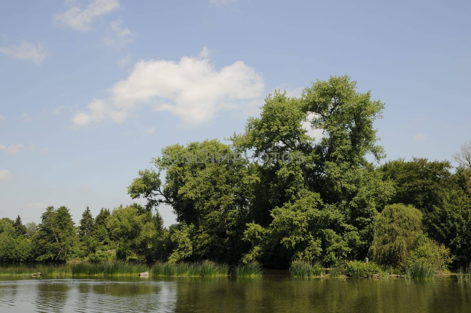 Lahn near Limburg