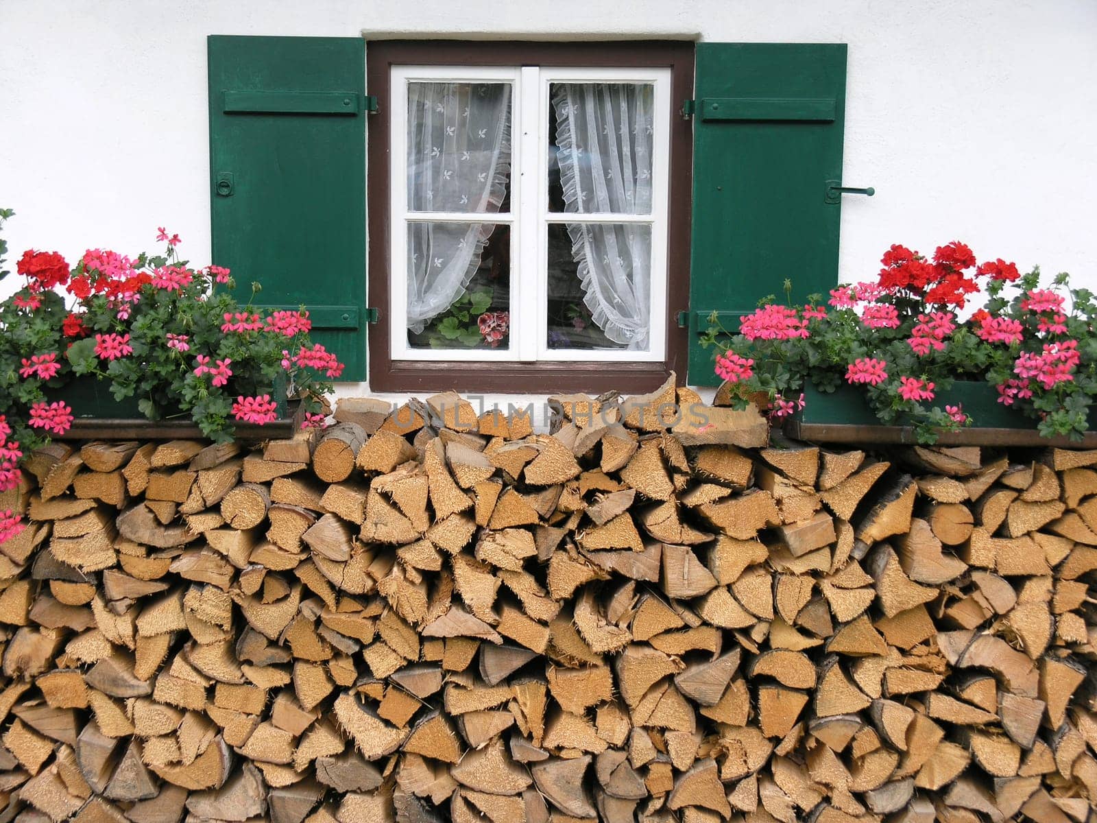 Wood stock for the winter