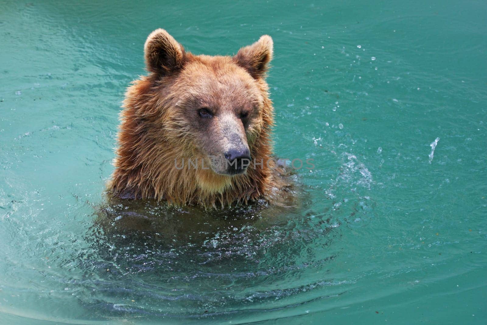 Bathing