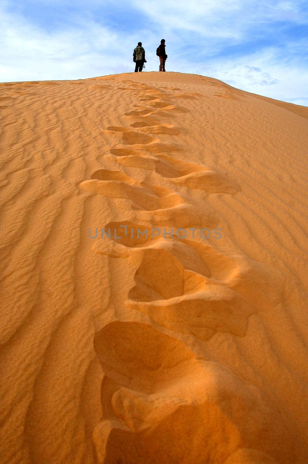 Way Up,Sand Dune,Sahara Desert