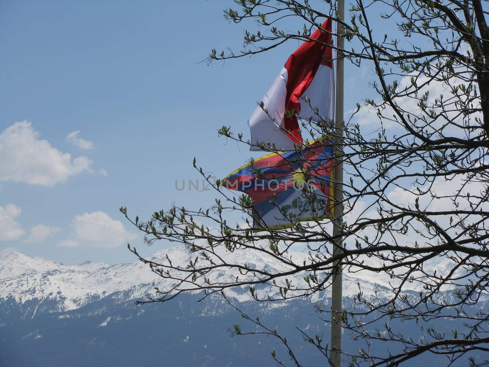 Tibetan Flag