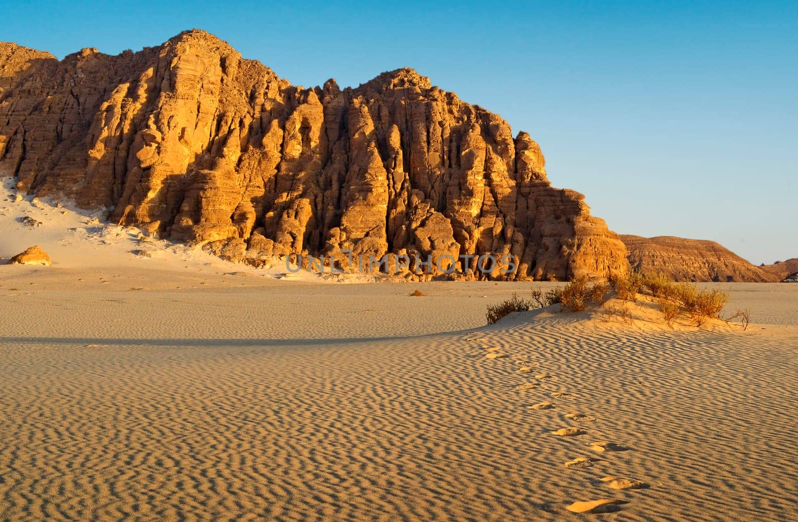 Footprints in the sand