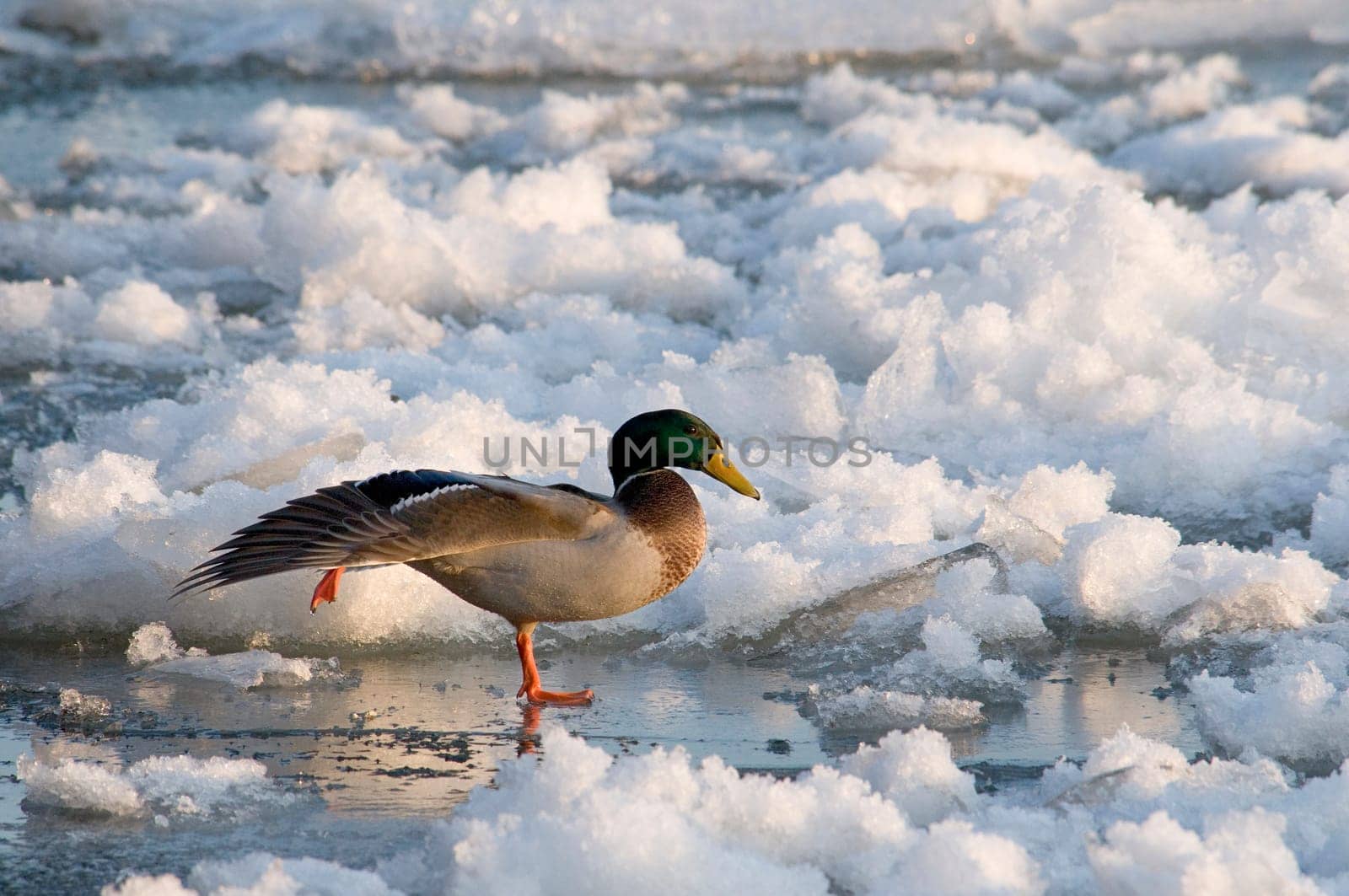 Dancing on thin ice