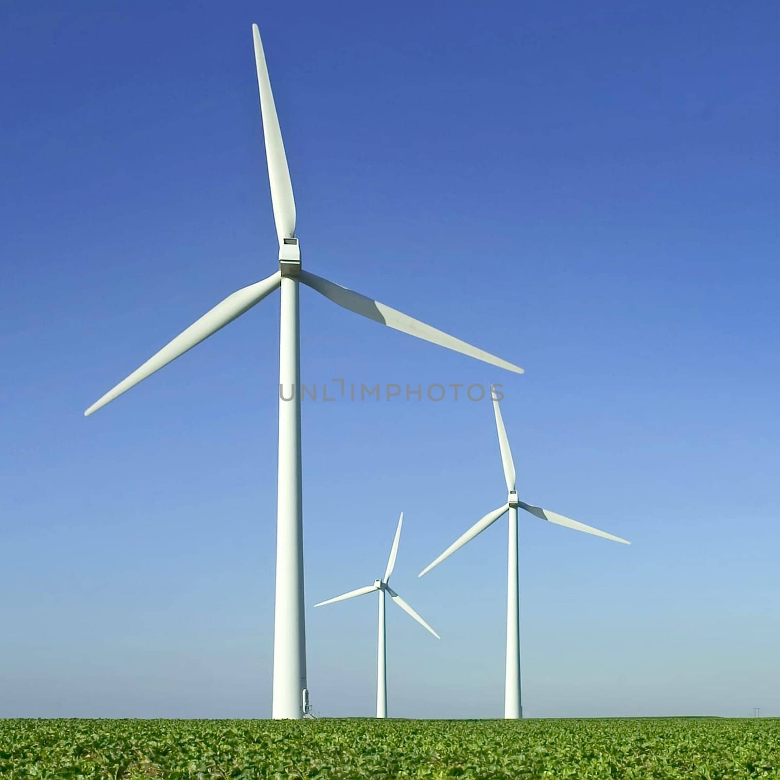 wind turbine