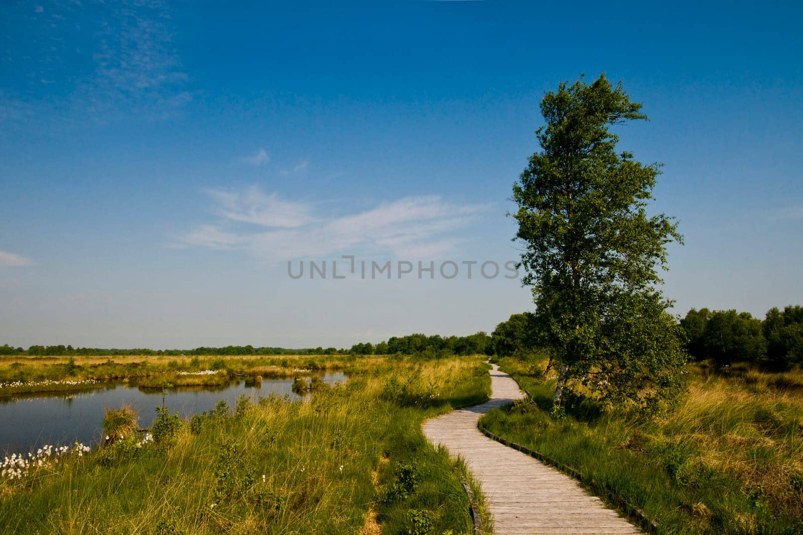 Eternal Sea Nature Reserve