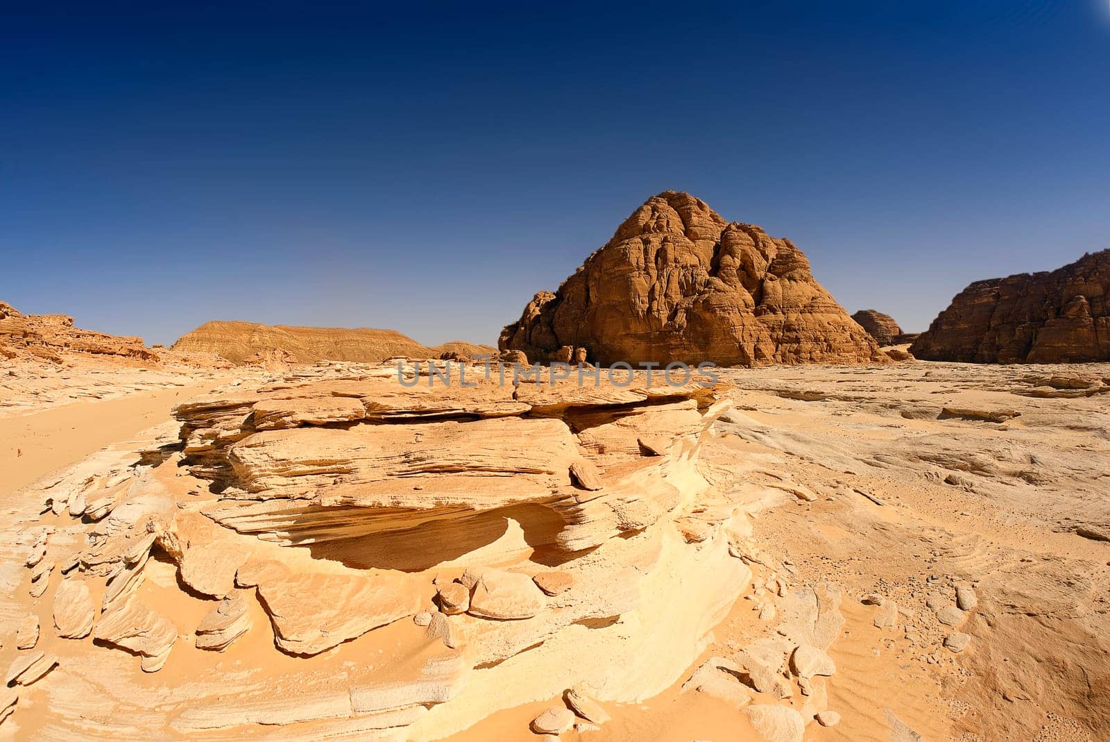 Stone Desert