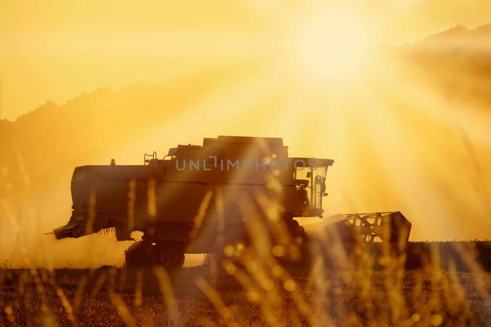 Combine harvester at harvest