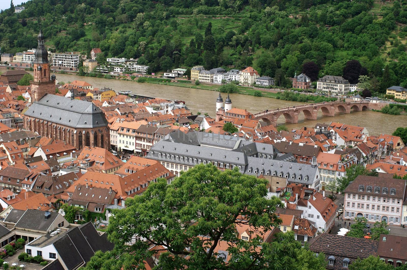 Heidelberg,panorama