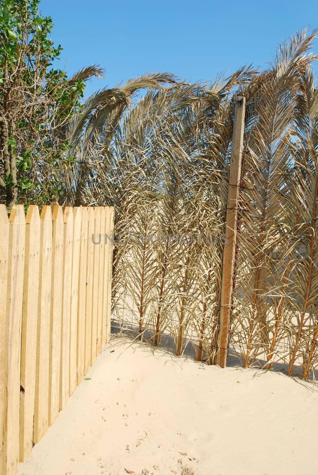 Detail of a tropical beach bar