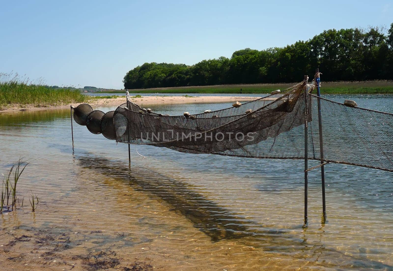 Fish trap