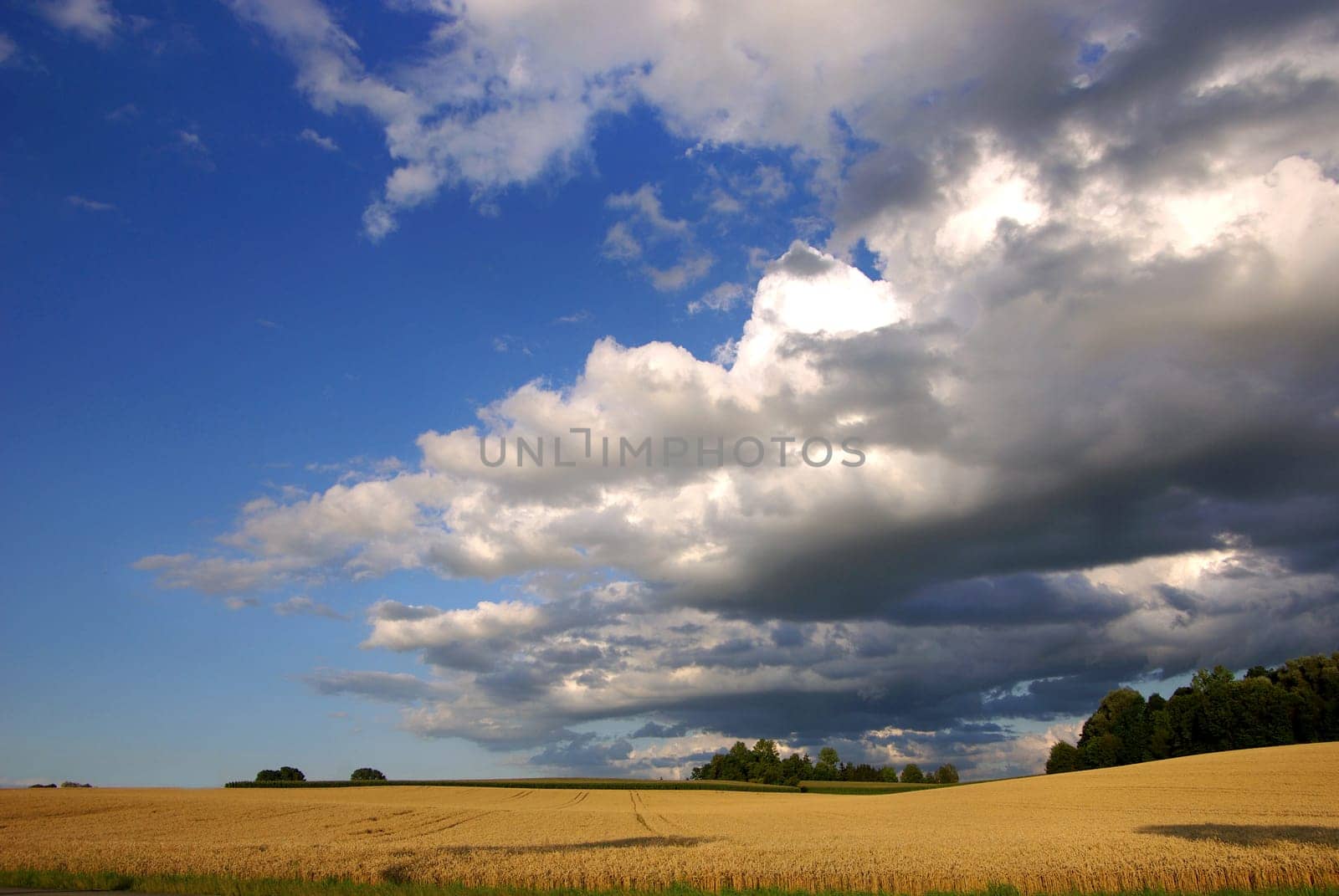 Variable and cloudy