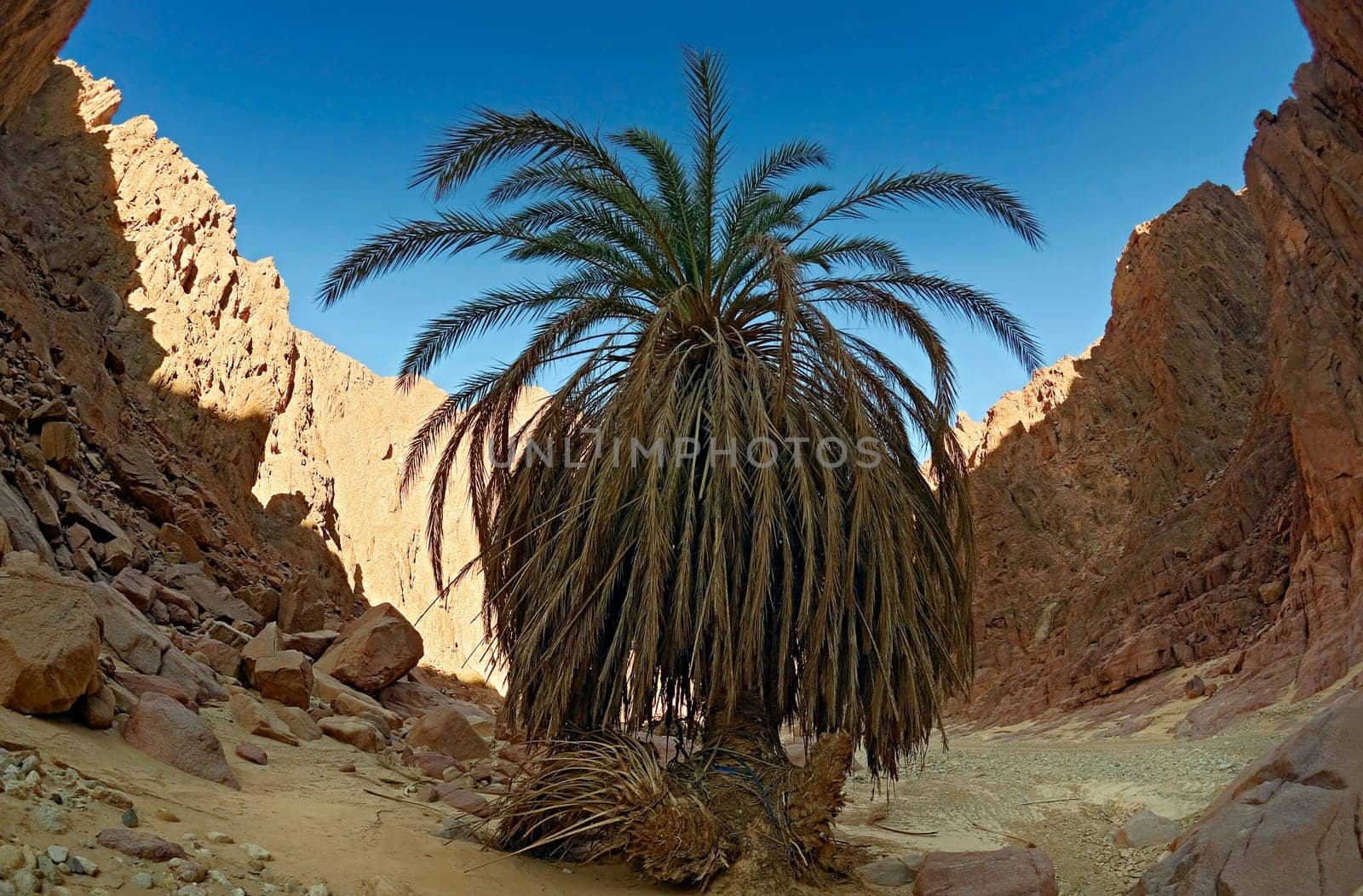 Magic of Wadi el Ain