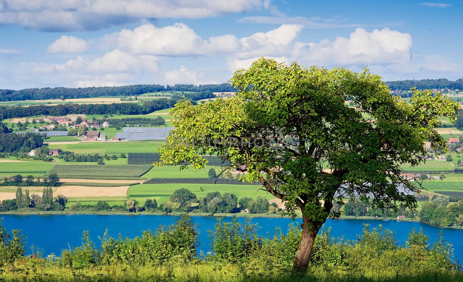 View of Lake Hallwil