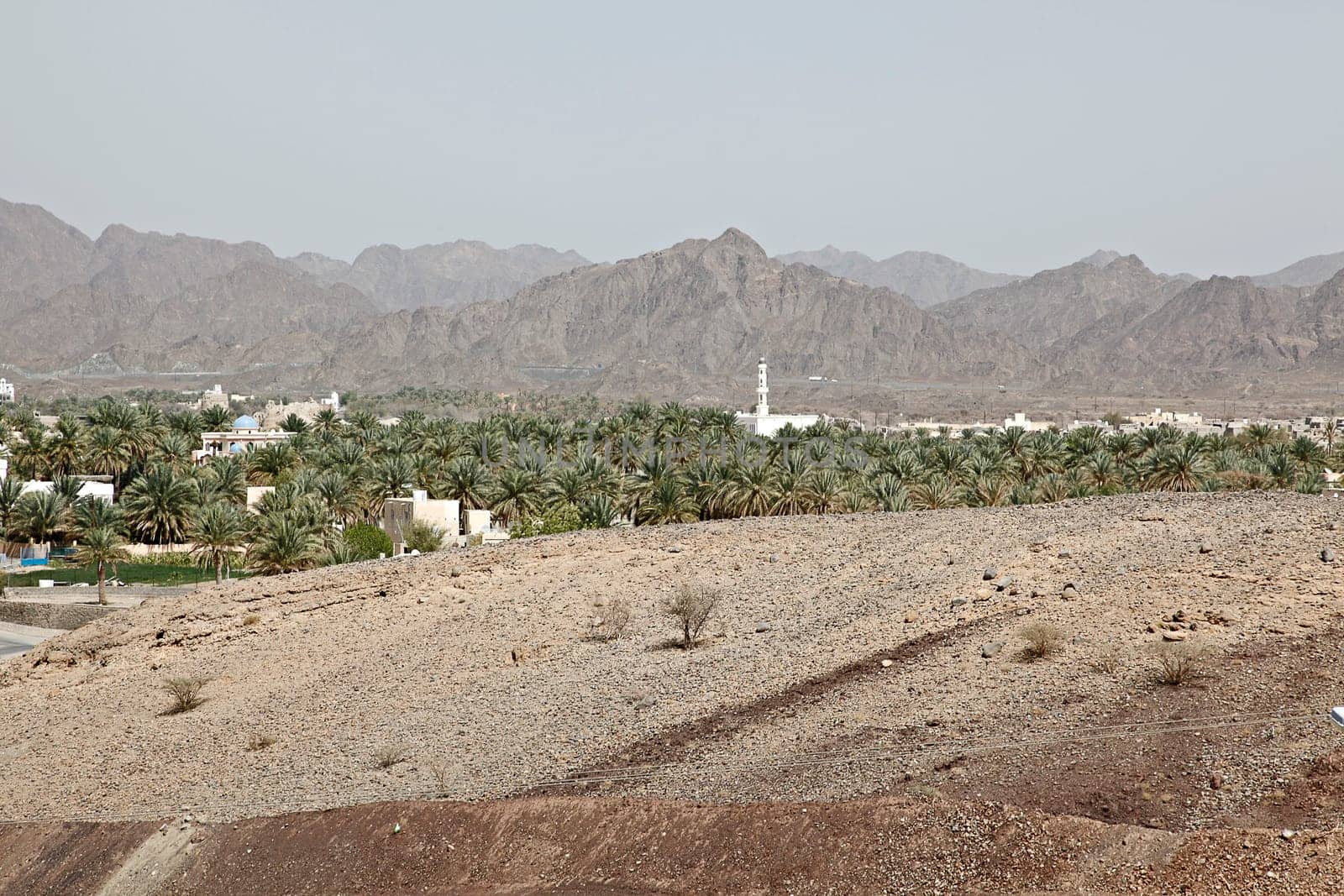 Oasis in Oman