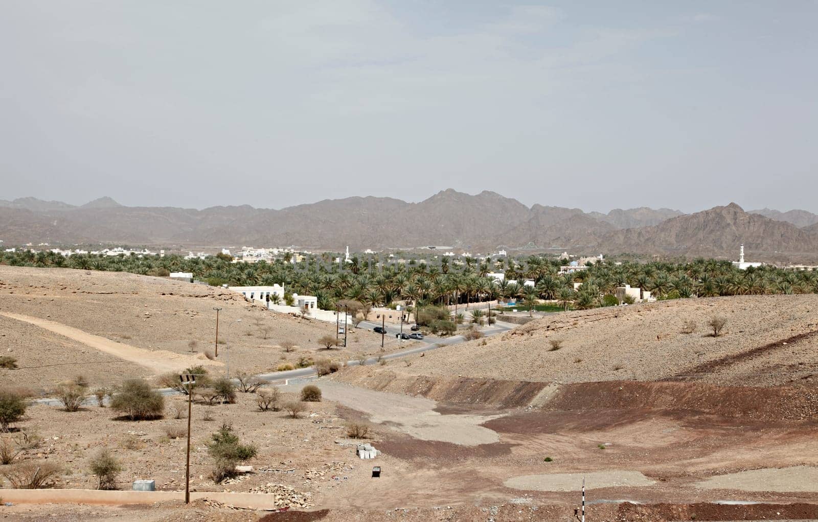 Oasis in Oman