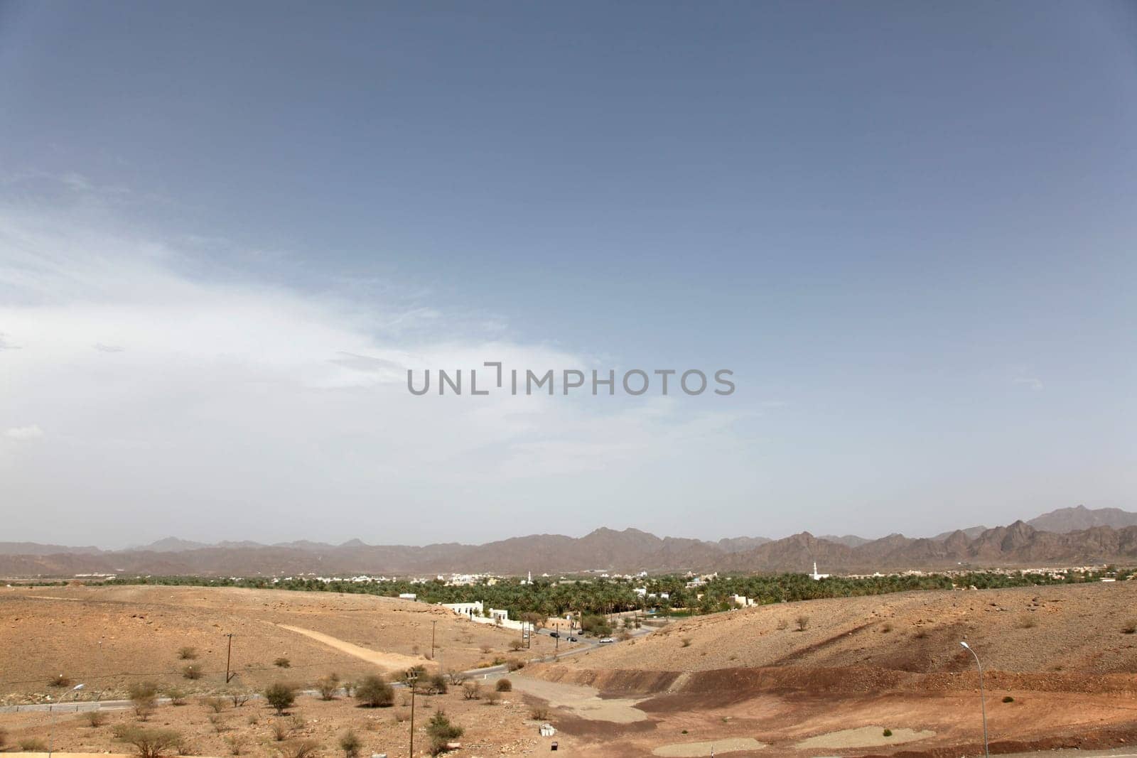 Oasis in Oman