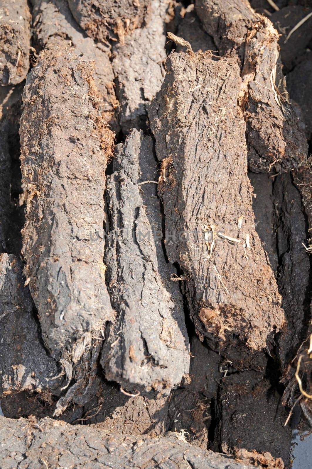 Peat